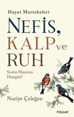 Hayat Mertebeleri Nefis Kalp ve Ruh