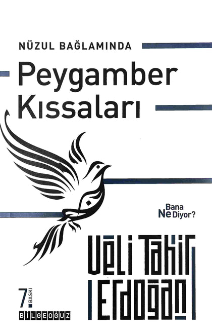 Nüzul Bağlamında Peygamber Kıssaları Bana Ne Diyor?