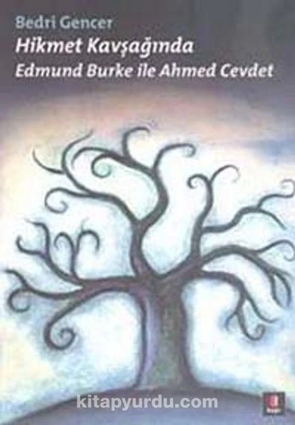 Hikmet Kavşağında Edmund Burke ile Ahmet Cevdet